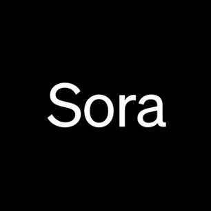 Sora AI工具