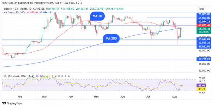 Bitcoin�״��γ�2024����������DƬ