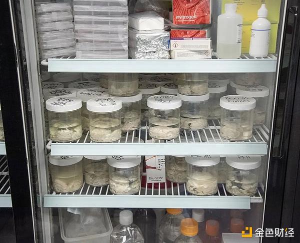 ����ǰ���Ethereum �@λ���܃|�f�����������&nbsp;�DƬ