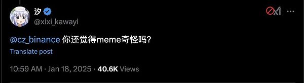 2025 開年大戲 Meme 登堂入室圖片